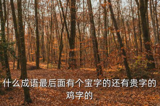 什么成語最后面有個寶字的還有貴字的雞字的