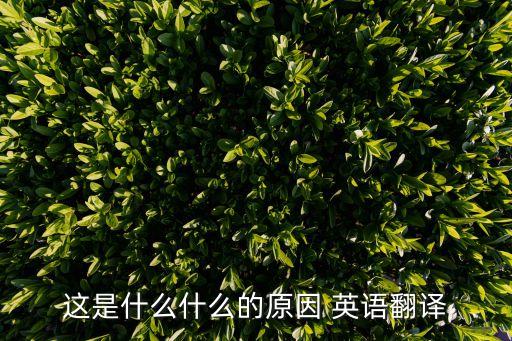 這是什么什么的原因 英語翻譯