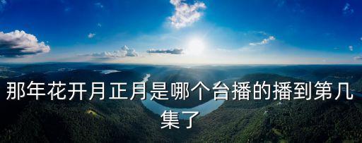 那年花開月正月是哪個臺播的播到第幾集了