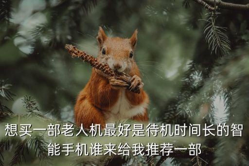 想買一部老人機最好是待機時間長的智能手機誰來給我推薦一部