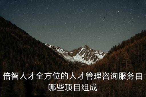 倍智人才全方位的人才管理咨詢服務(wù)由哪些項目組成