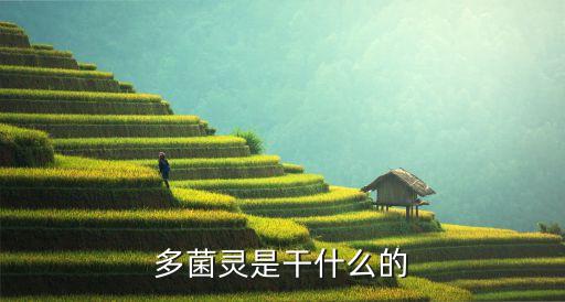 多菌靈，多菌靈是干什么的
