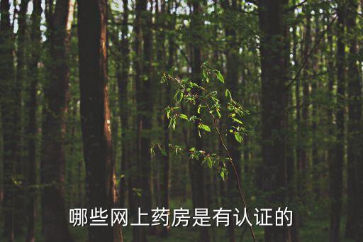 盤龍云海電子商務網，網上藥店合法的有幾家