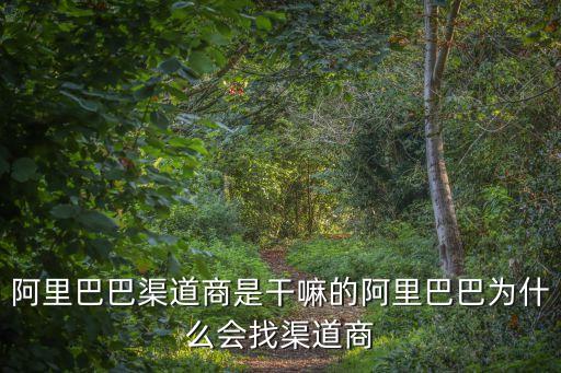 阿里巴巴渠道商是干嘛的阿里巴巴為什么會找渠道商