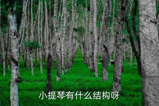 小提琴結構，小提琴由四條弦所構成分別什么音