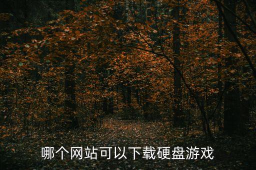 硬盤游戲下載，哪個網站可以下載硬盤游戲