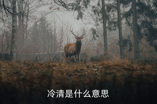 冷清，冷清是什么