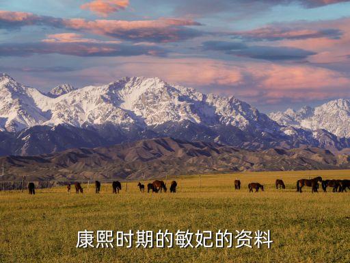 清穿之敬敏皇貴妃，關于敏妃的清穿小說
