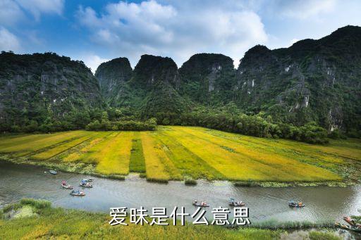 愛昧，愛昧是什么意思