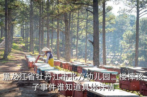 黑龍江省牡丹江市北方幼兒園二樓摔孩子事件誰知道具體詳情