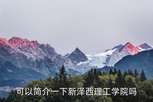 可以簡介一下新澤西理工學院嗎