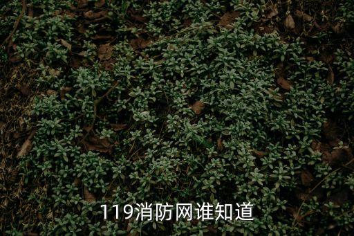 119消防網，119消防網在119消防日來臨之際有活動嗎