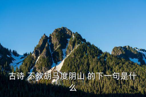 不教胡馬度陰山上一句，不教胡馬度陰山的前一句是