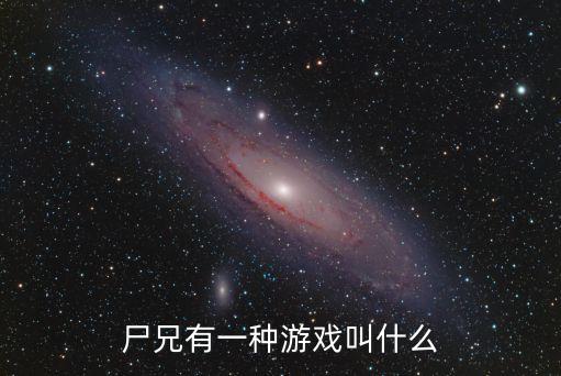尸兄有一種游戲叫什么