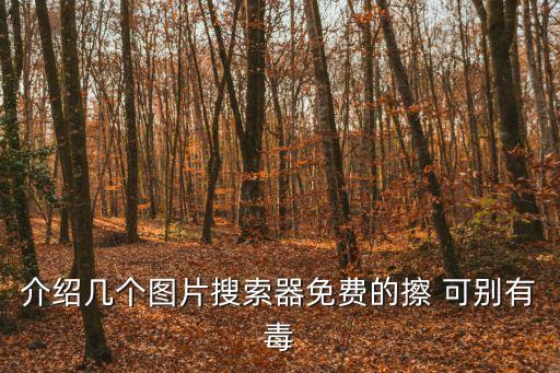 介紹幾個(gè)圖片搜索器免費(fèi)的擦 可別有毒