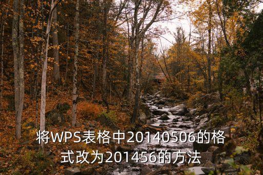 wps2006，將WPS表格中20140506的格式改為201456的方法
