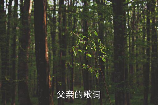 劉和剛父親歌詞，下載劉和剛歌曲詞譜