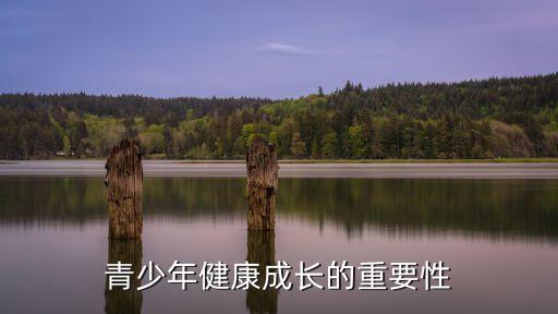 青少年成長，青少年成長過程該注意那些事項