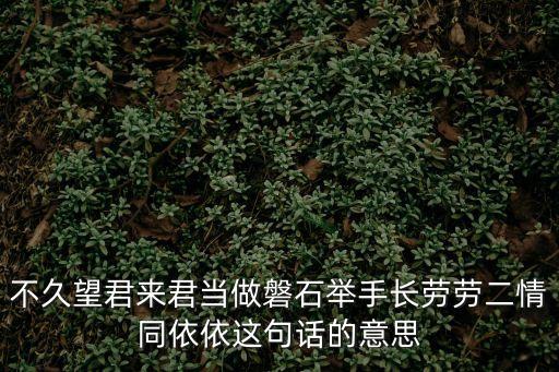 君當作磐石，君當做磐石妾當做蒲絲蒲草韌如死磐石無轉移 是什么意思