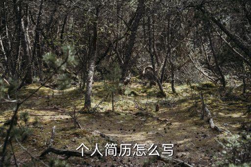 如何寫簡歷，個人簡歷怎么寫