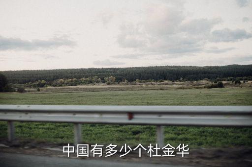 中國有多少個杜金華
