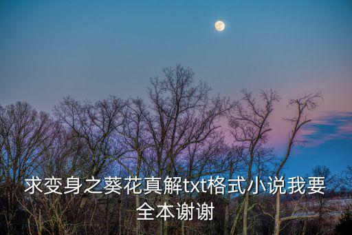 求變身之葵花真解txt格式小說我要全本謝謝