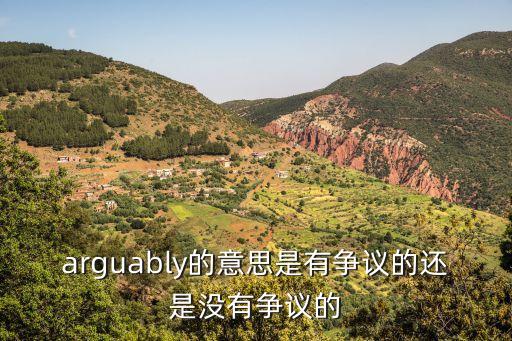 arguably的意思是有爭(zhēng)議的還是沒有爭(zhēng)議的