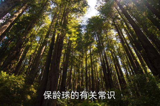 保齡球怎么玩，保齡球的有關(guān)常識