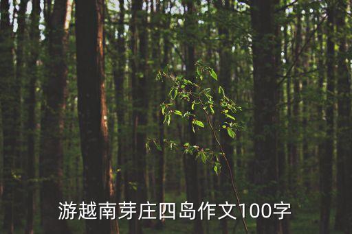 越南游記，我需要關于越南的各種旅游經歷最好是有較長時間呆在越南那邊的朋