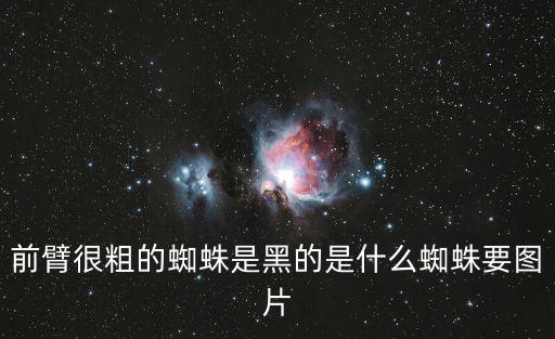 黑色蜘蛛，農村里的那種黑色的腿粗的身體長的是什么蜘蛛有毒嗎