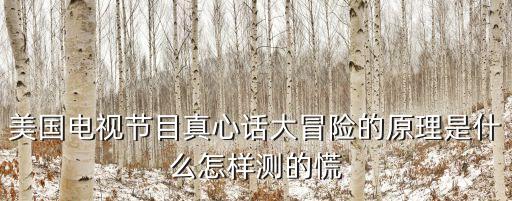 美國電視節目真心話大冒險的原理是什么怎樣測的慌