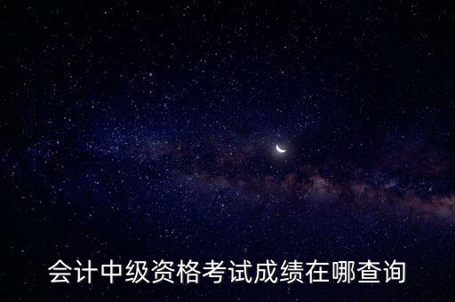 會(huì)計(jì)中級(jí)資格考試成績(jī)?cè)谀牟樵?xún)