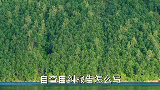 自查自糾報告怎么寫