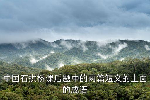 中國石拱橋課后題，語文人教版中國石拱橋課后第一大題第二小題答案