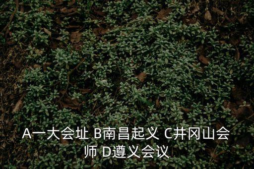 A一大會址 B南昌起義 C井岡山會師 D遵義會議