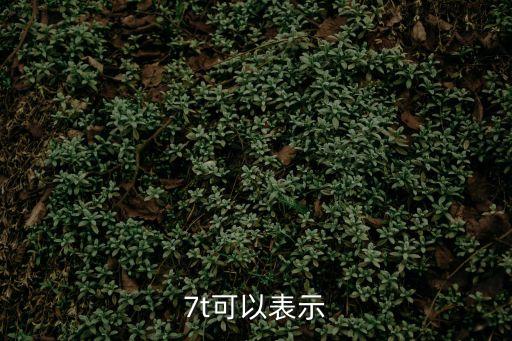 7t，7t是什么意思