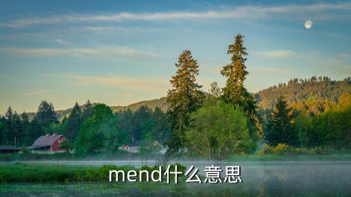 mend，mend的用法