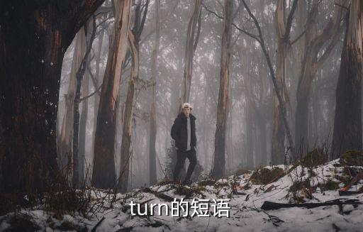 turn短語，turn相關的短語有哪些