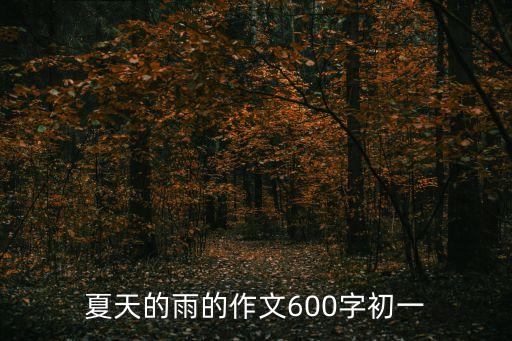 夏天的雨的作文600字初一