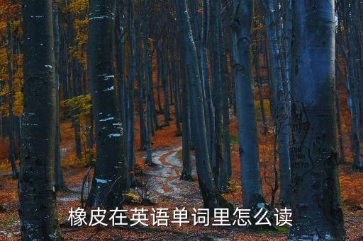 橡皮英文怎么讀，橡皮在英語(yǔ)單詞里怎么讀