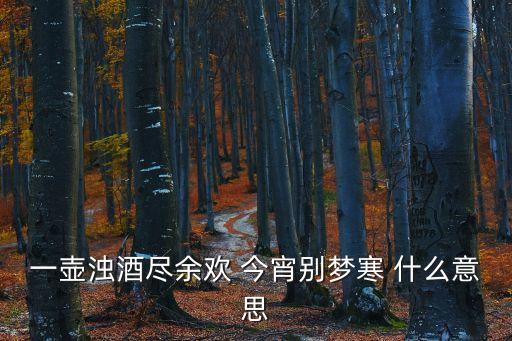 一壺濁酒盡余歡 今宵別夢寒 什么意思