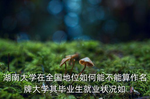 湖南大學(xué)全國排名，湖南大學(xué)排名