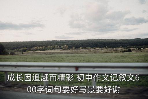 追趕作文600字，追為話題的作文600字