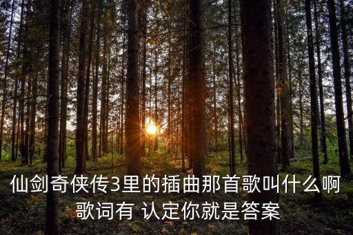 認(rèn)定你就是答案，認(rèn)定你就是答案是什么意思