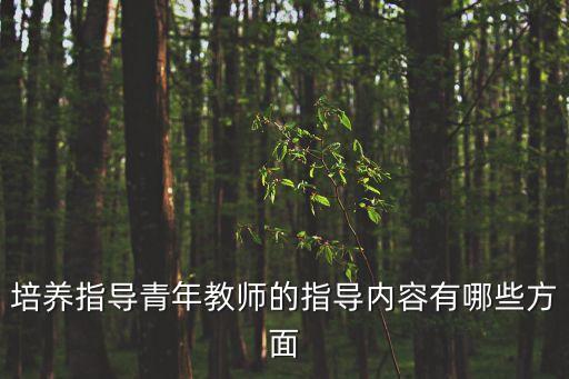 培養(yǎng)指導青年教師的指導內容有哪些方面