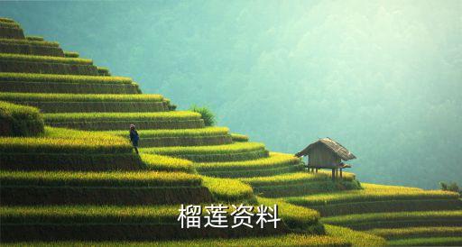 榴蓮資料