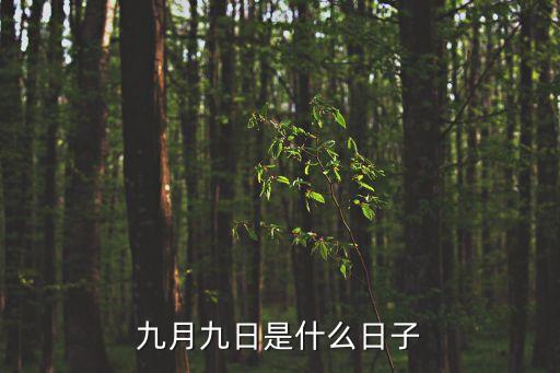 九月九日是什么日子