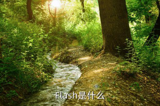 flash技術，flash 什么意思