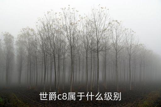 世爵c8屬于什么級別