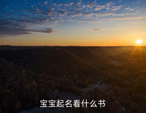 寶寶起名看什么書